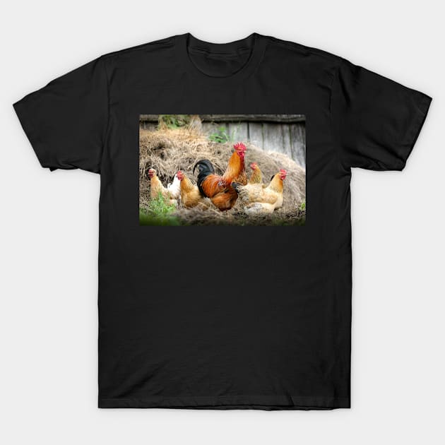 Rooster T-Shirt by kawaii_shop